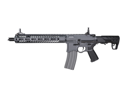 G&G EMG SEEKINS PRECISION SBR8 WITH 12" RAIL