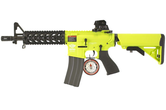 G&G CM16 RAIDER (TWO TONE GREEN)